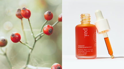 cold pressed rosehip oil