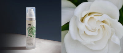New! Discover our night cream to smooth fine lines 